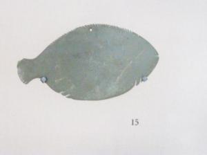 Fish-shaped palette on the gallery