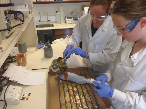 Drs Lidija McKnight and Stephanie Atherton-Woolham making mummies in the lab